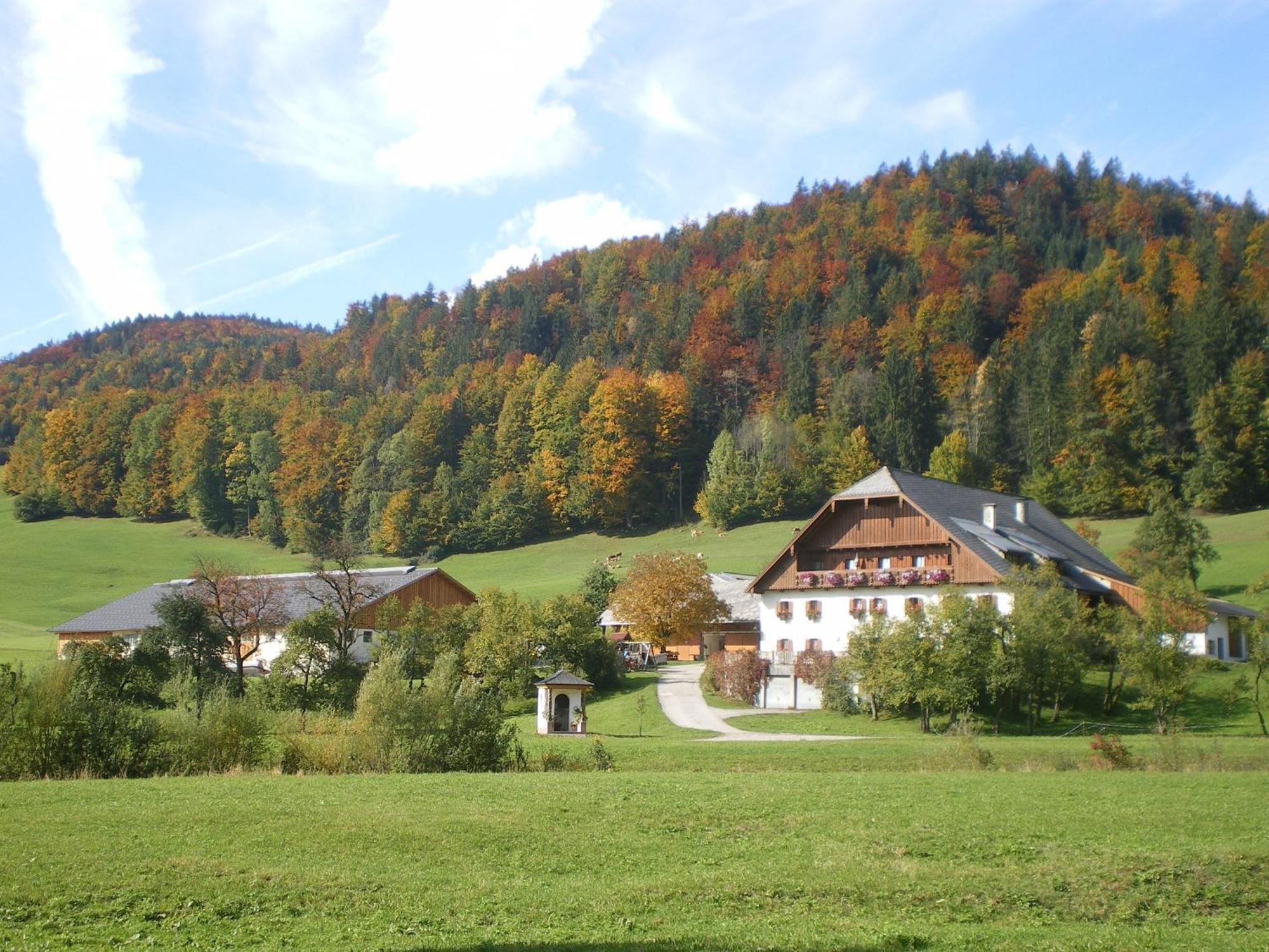 Russbachbauer Villa Sankt Wolfgang im Salzkammergut Exterior photo