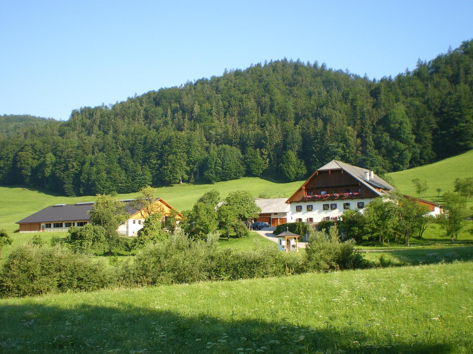 Russbachbauer Villa Sankt Wolfgang im Salzkammergut Exterior photo