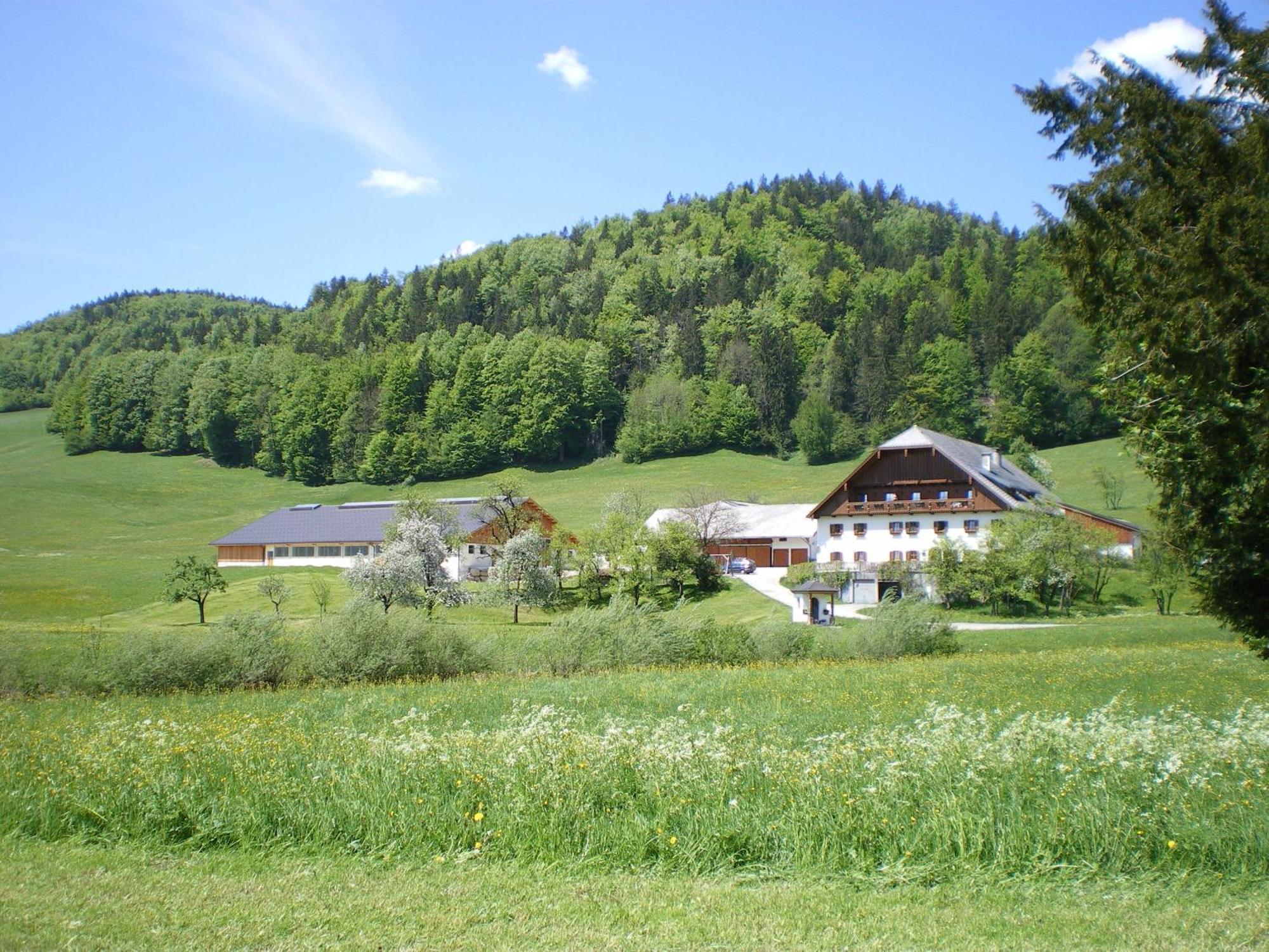 Russbachbauer Villa Sankt Wolfgang im Salzkammergut Exterior photo