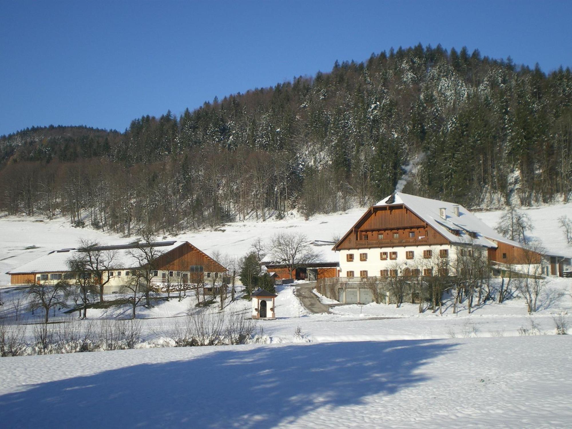 Russbachbauer Villa Sankt Wolfgang im Salzkammergut Exterior photo