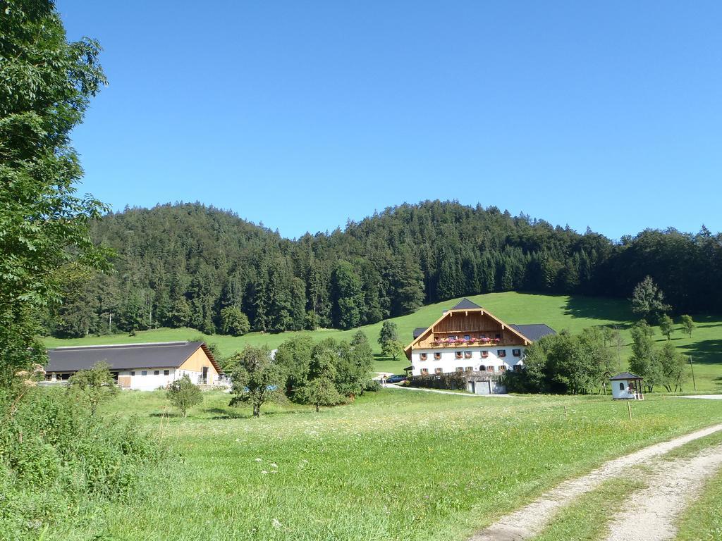 Russbachbauer Villa Sankt Wolfgang im Salzkammergut Exterior photo